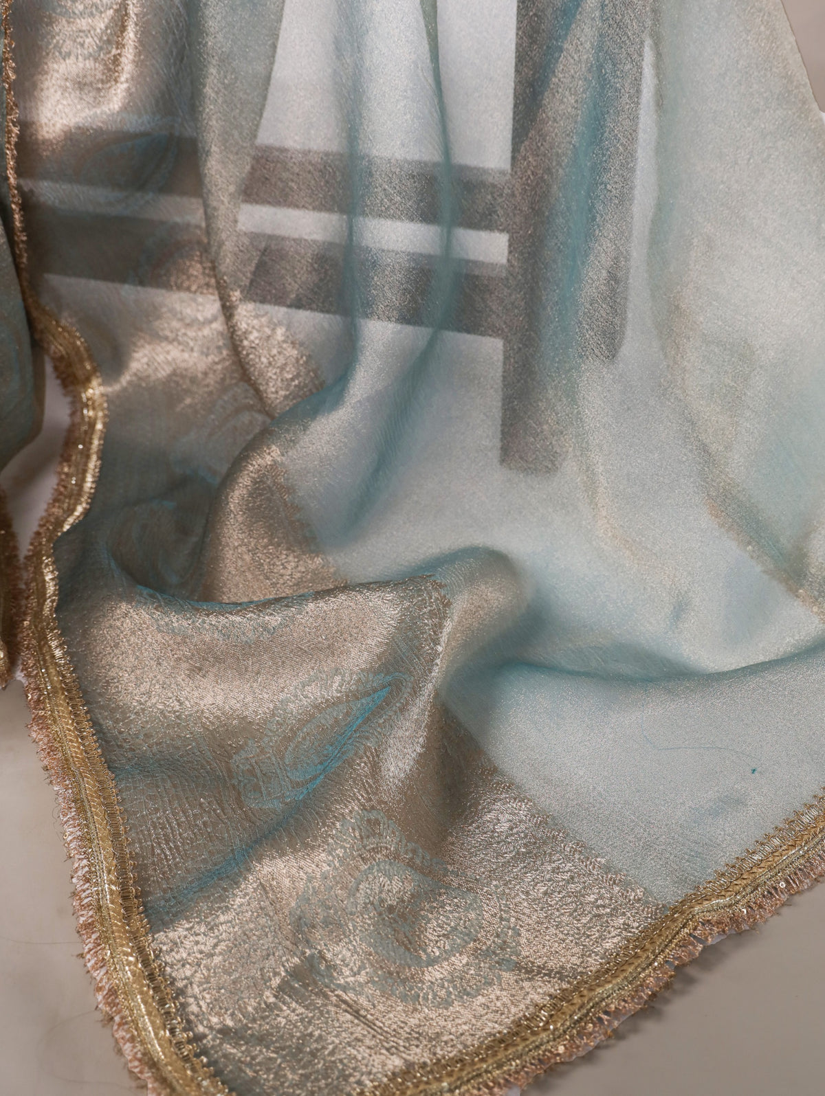 Tissue Shimmer Saree